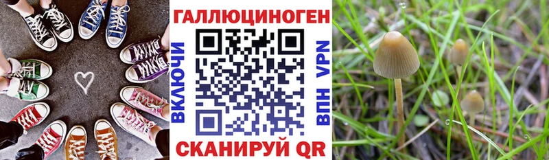 Галлюциногенные грибы Cubensis  как найти закладки  Борисоглебск 